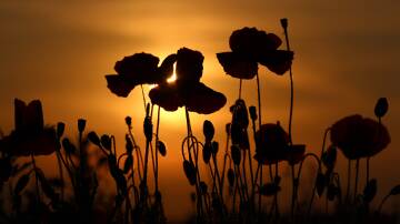 The Anzac Day public holiday on April 25 brings some changes to normal retail trading hours. Picture by Shutterstock