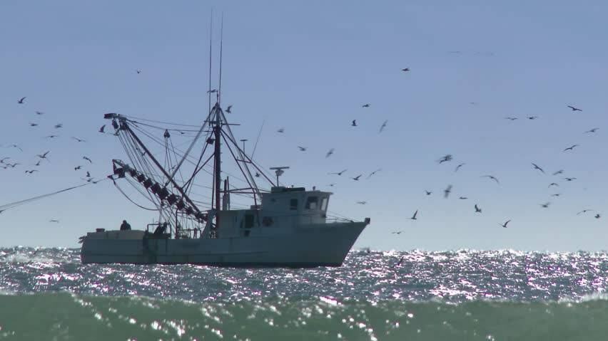 Extension: The state government has extended applications for fishing business buyout payments until September 2 2016 following strong interest from commercial fishers.