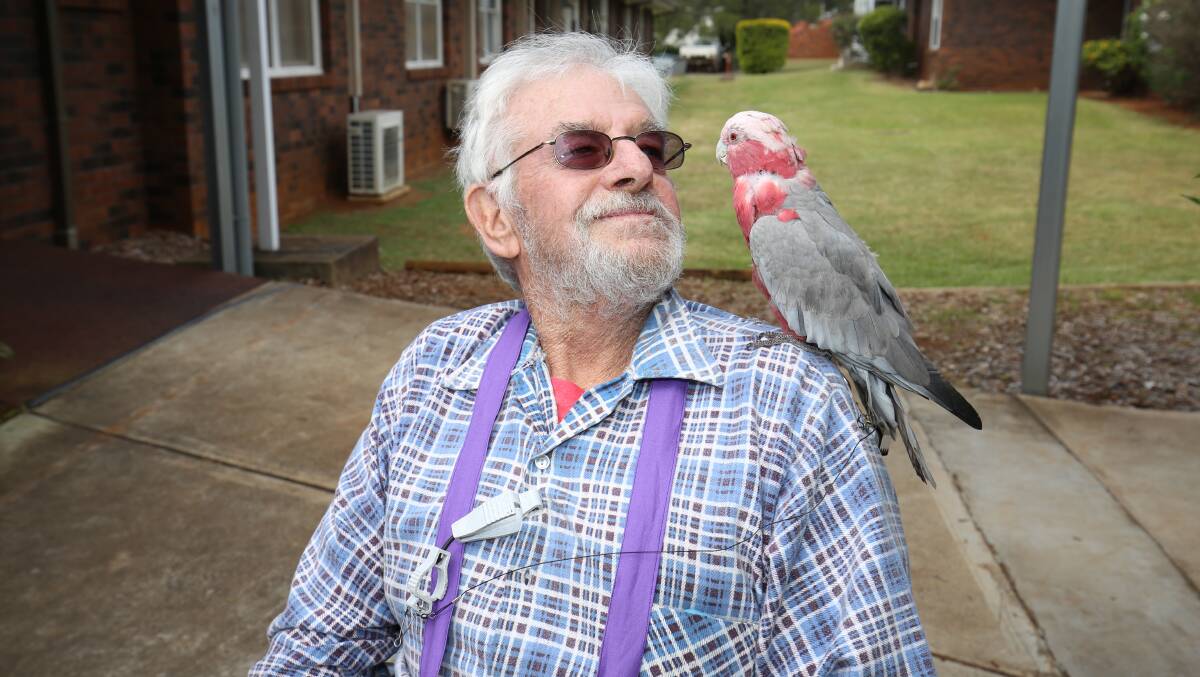 Reunited: Greg Cummings and Brucey the female galah have been reunited after a motorbike accident at Bonny Hills in early November.