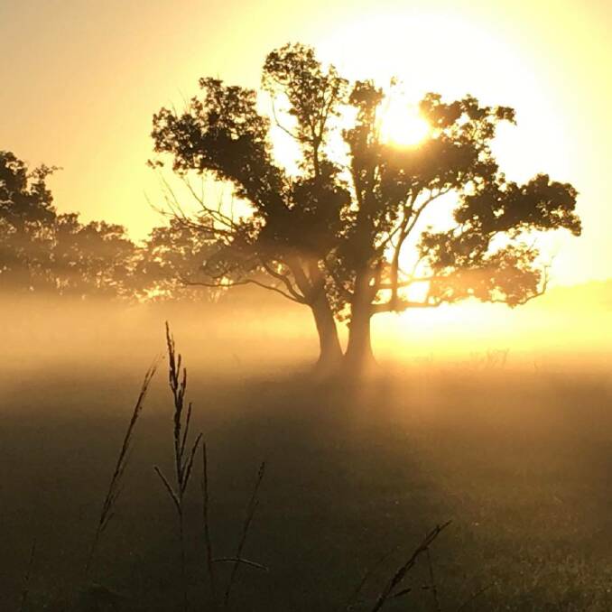 January 27 photo a day challenge: The Beauty of Nature. Check out these excellent photographs.
Each day you can submit your fav photo using the daily theme. Submit your photos to the Port Macquarie News Facebook page by 3pm each day or via Instagram using the hashtag #portnewsphotoaday 