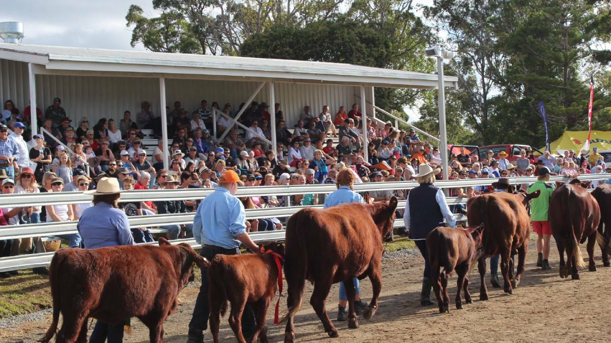 Show off: The Wauchope community is supportive of the decision to cancel the 2020 Wauchope Show.