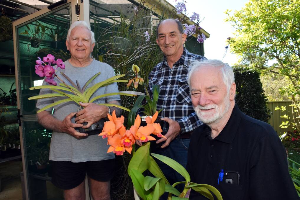 Blooming show: Committee member Wayne Stephensen, vice president Andrew Young and secretary Ken McNaught preparing for the upcoming spring show.