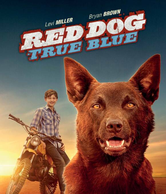 Moonlight movies: Red Dog True Blue is one of the feature films for this year's summer series of Moonlight Movies.