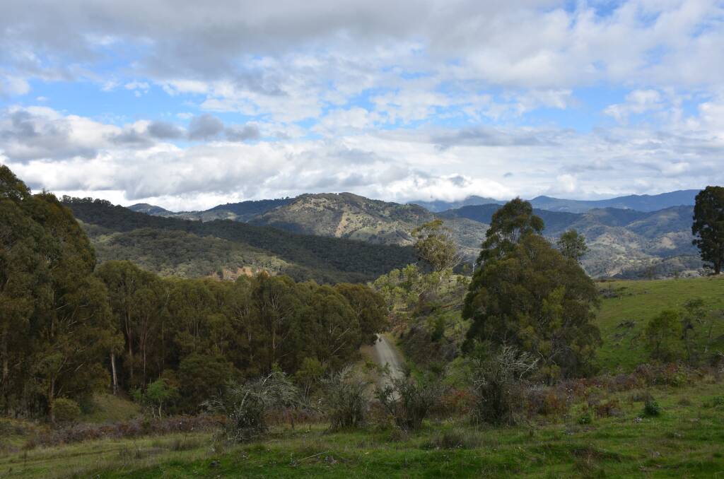 The landscape near Moonan Flat were the MacCallum family have lived and farmed since the 1830s.