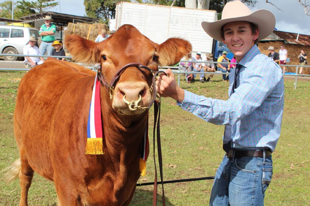 Last year's Supreme Champion of Wauchope Show in the beef cattle section was William Saul of Kempsey.