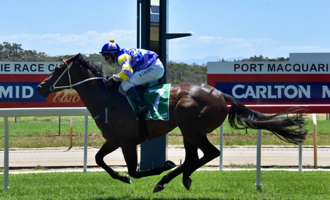 Siostra wins race two at Port Macquarie on Monday. Photo: Ivan Sajko