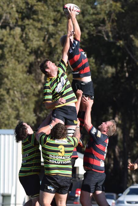 Get up there: Hastings Valley Vikings forward Tom Woods contests the lineout at Toormina. Photo: Brad Greenshields