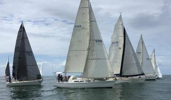 PMYC crews struggled to find an early breeze in Saturday’s run to Laurieton.