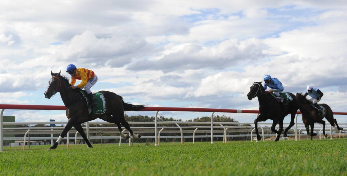 Winner: Hippy High Ho, trained by Neil Godbolt finished first past the post in race four on Sunday. Photo: Ivan Sajko