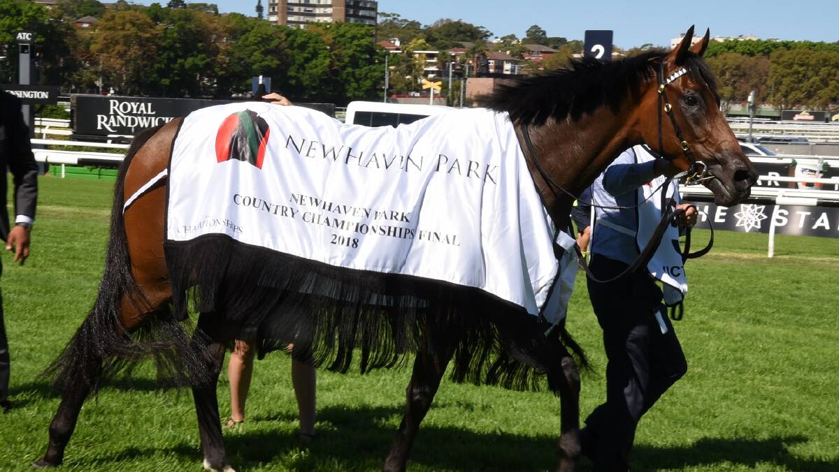 One perfect day: Graham reflects on success at Randwick