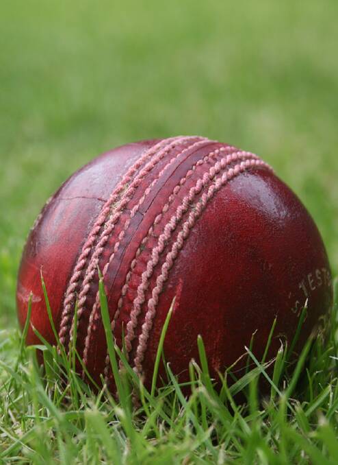 Hastings will clash with Macleay in the junior cricket grand final.