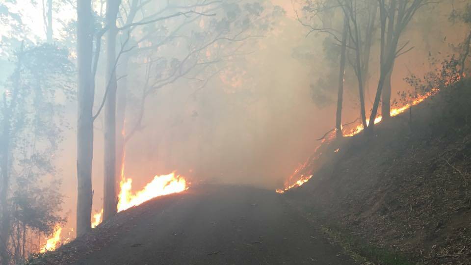 The Pappinbarra Rd fire on Sunday. Photo: Rod Chetwynd