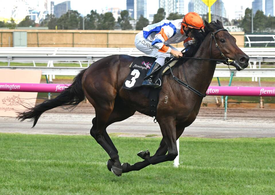 Victorian visitor Hey Doc will be primed for Saturday’s $1m The Star Doncaster Mile.  Picture courtesy Racing Photos