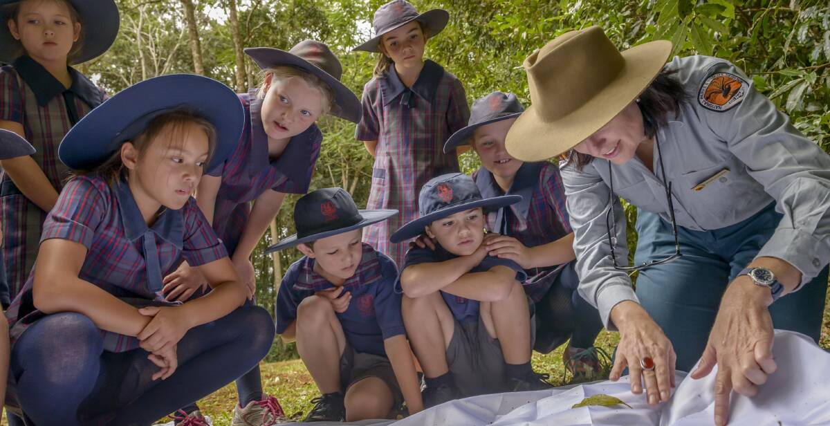 SHARE NATURE'S SECRETS: If you can picture yourself as a WilderQuest volunteer, sharing the wonders of nature with children, then here's your chance to do so.