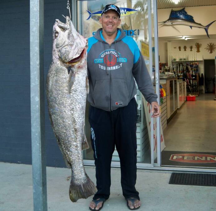 Whoppper: Our Berkley Pic of the Week is Dave Kirkby with a sensational 26.2 kilogram mulloway he caught recently off the south wall on a hard bodied lure.