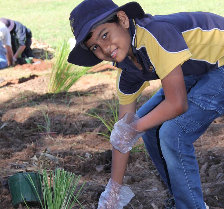 Port Macquarie Public School student Meet Panchal assisting the Friends of Mrs York's Garden restore the area to its former beauty.