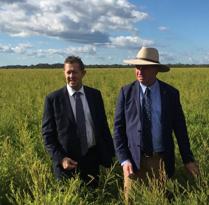 GREENER PASTURES: Member for Cowper Luke Hartsuyker with Deputy Prime Minister Barnaby Joyce on a past visit to the North Shore of Port Macquarie.