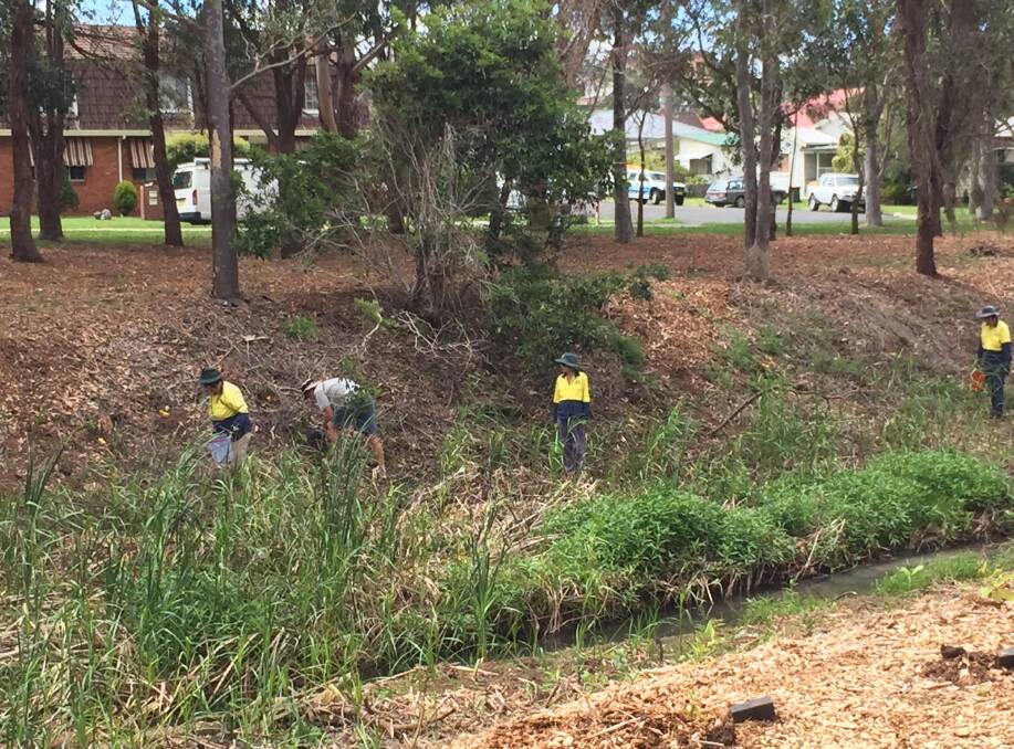 WORKING HARD: Landcare volunteers, council workers and members of the public banding together. Photo: Laura Telford