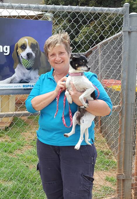 PROTECT TODAY: Local RSPCA branch manager Kerry Swift-McNair with Maddie. Photo: Laura Telford