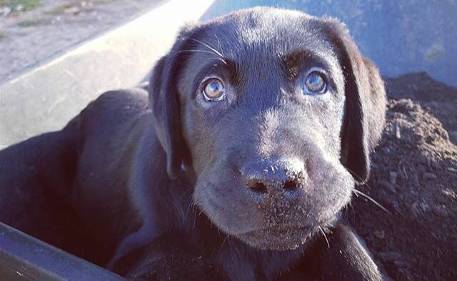 Snapped: What a beautiful face. Jessica Cassegrain shared this photo of her little mate on Instagram.