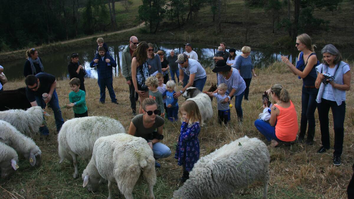 Port Macquarie’s Farm Gate Tour June 10-12 is a unique insight into country life with 12 properties opening, produce tastings and animals to feed.