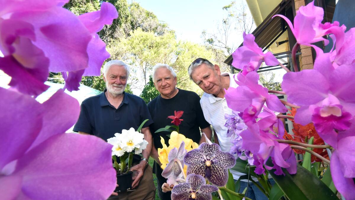  Blooming beautiful: Ken McNaught, Wayne Stephensen and Dennis Sinclair.