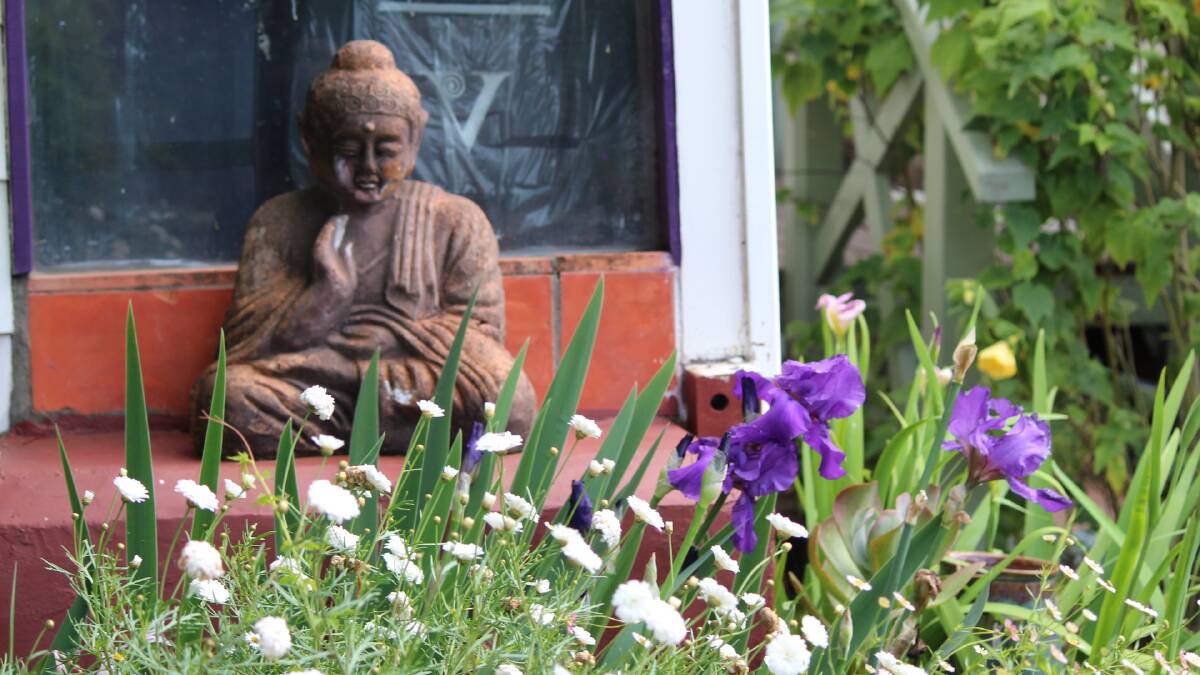 Gardens flourish at Comboyne | photos