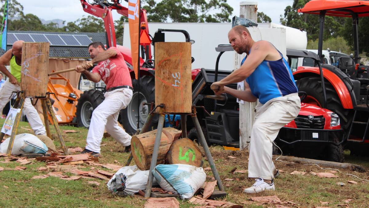The woodchopping powerhouses put on a show.