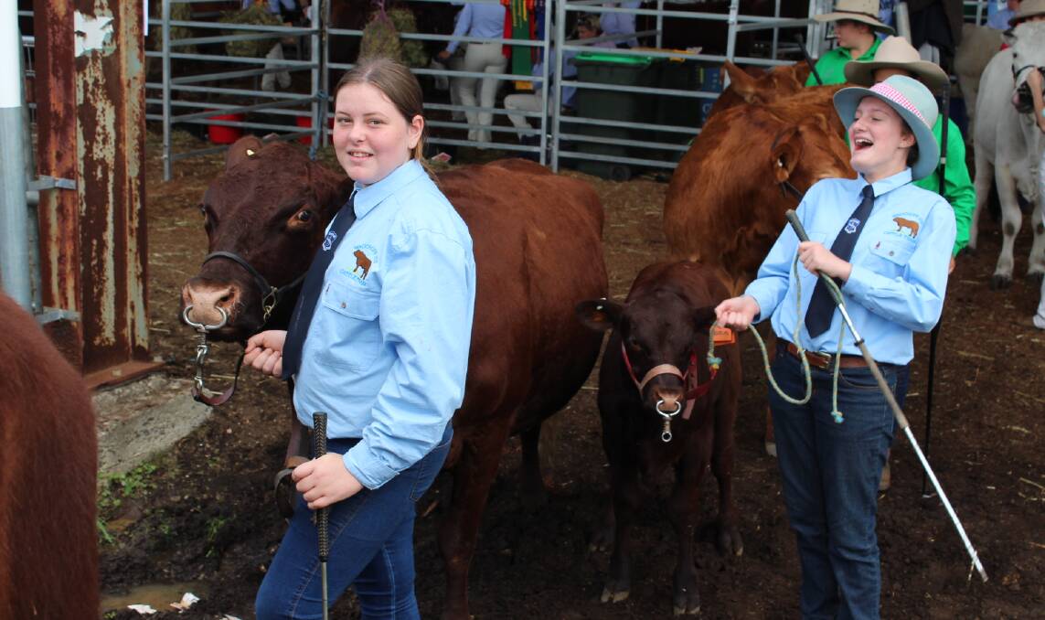 Alyssa Eames and Darcy-Jane Hancock of Wauchope High in the beef cattle ring.
