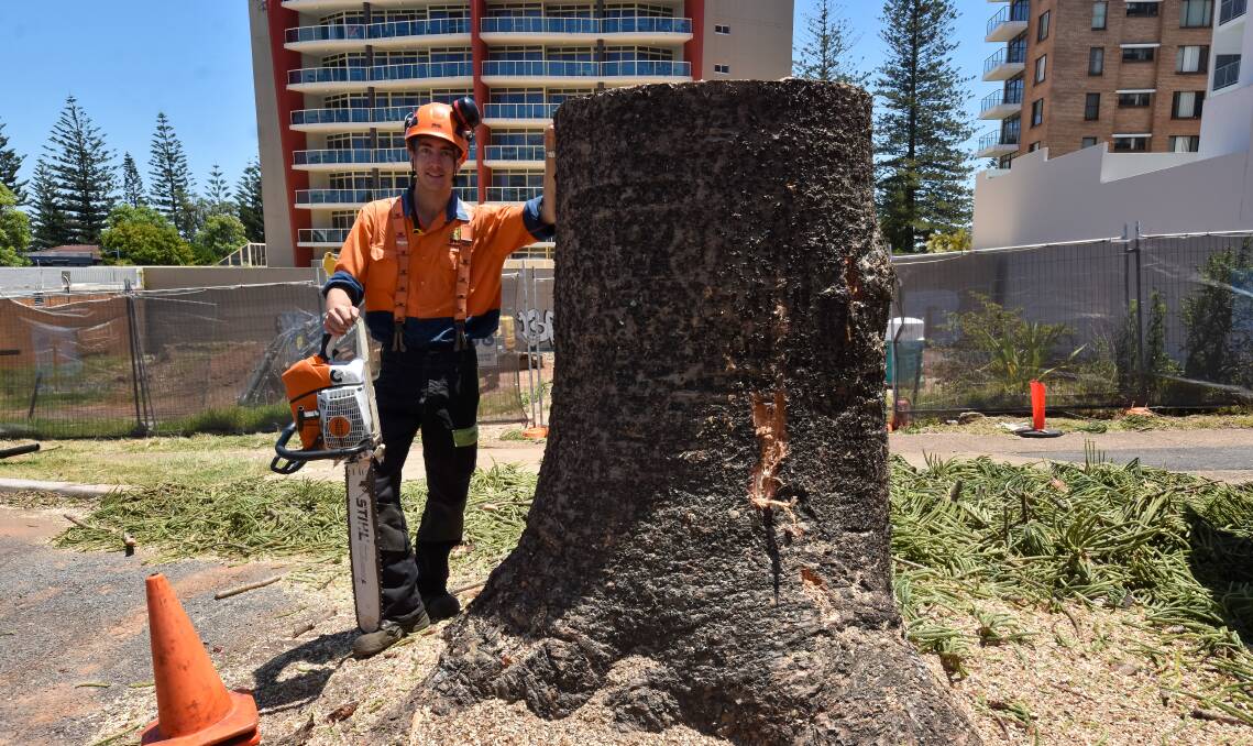 Henry Siems from Port Tree Fellas with the remains of the Clarence Street pine tree.