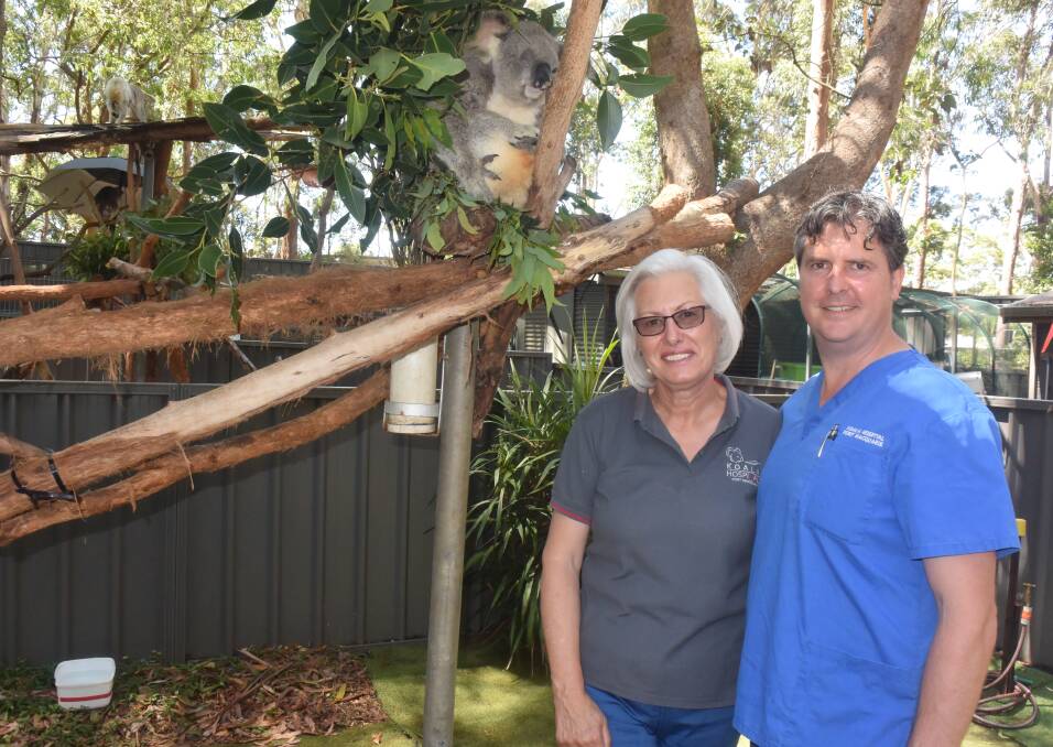 Koala care: Team leader Gaby Rivett and assistant clinical director Scott Castle reflect on the koala hospital's achievements.