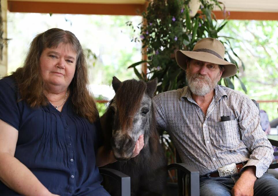 Learn from Horses secretary Deb O'Malley and president Rod O'Malley, pictured with Bunny, the therapy pony. Picture by Kim Saul