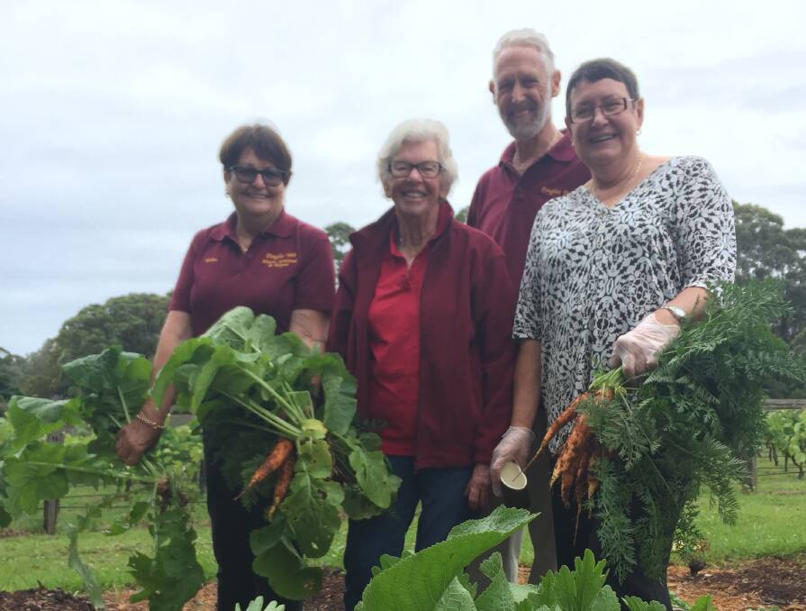 Healthy garden: Volunteers Karlene Melville, Jan Schoesmith, David Horn and Pat Foy tend the vegetable garden.