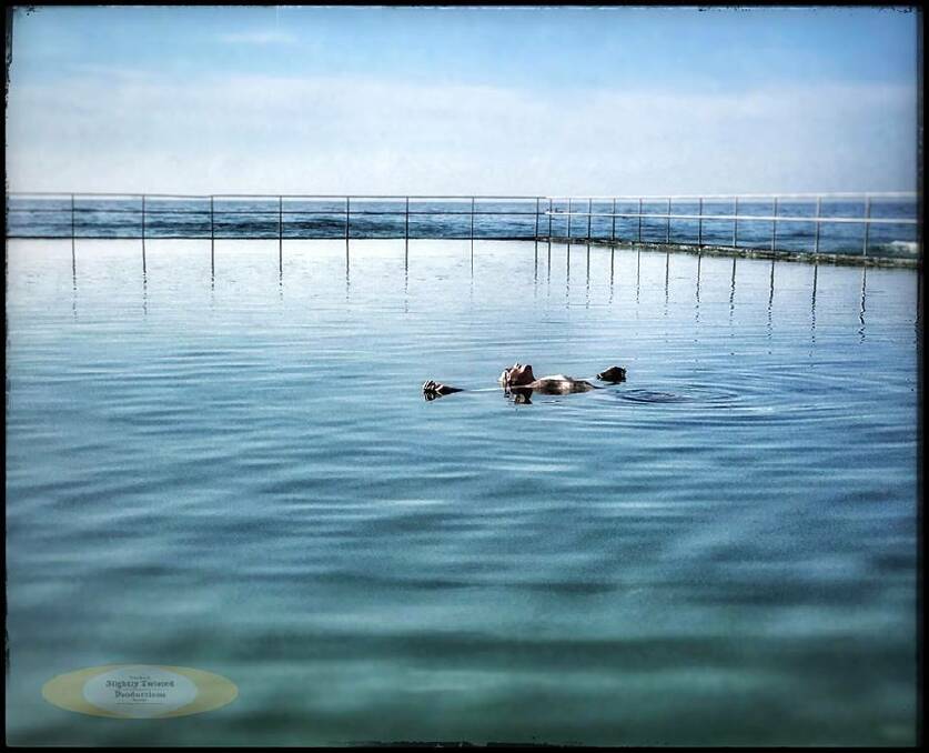 Woonona ocean pool, photo: Tim Burke