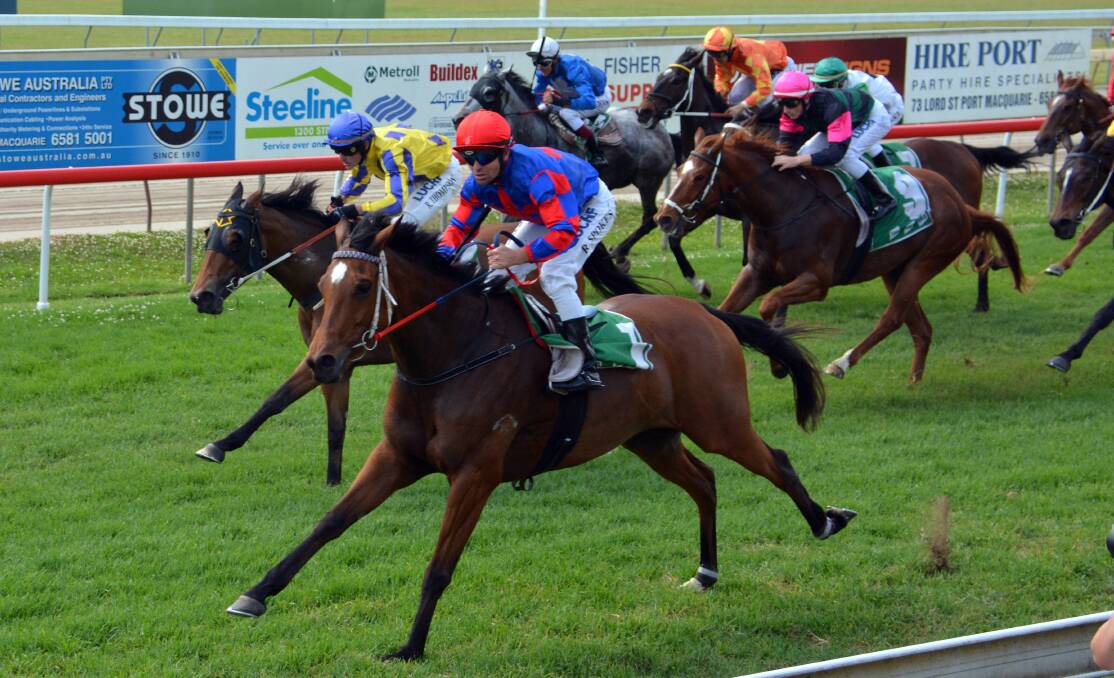 Too fast: Race four winner Sofin with Raymond Spokes aboard at Port Macquarie on Monday. Pic: PETER GLEESON