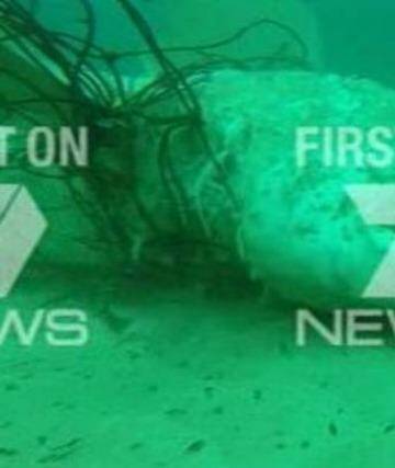 The shark reportedly caught in nets at Bondi Beach today. Photo: Seven Network