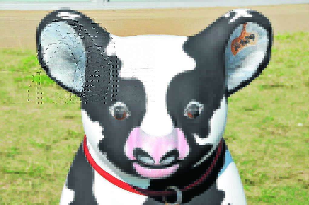 Cowala: Depicting the rural connection Comboyne has, Cowala is a koala painted like a cow by artist Kim Staples, complete with a tag which is Comboyne's postcode.