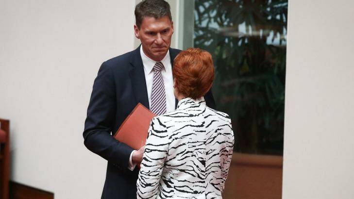 Senator Cory Bernardi has called on the government to support similar positions to those of One Nation.  Photo: Alex Ellinghausen