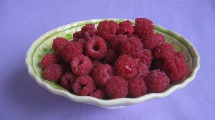 Julie Ryder's freshly harvested raspberries.