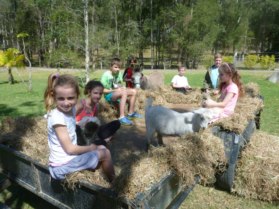 All aboard: Children from Telegraph Point Public School - Shaylee Wilcox, Briella Wilcox, Luka Marshall, Connar Marshall, Finn Marshall, Jye Wilcox and Leeare Elford enjoy a ride on board the tractor pulled hay trailer that will be available for rides at the school's Country Fair on Saturday.