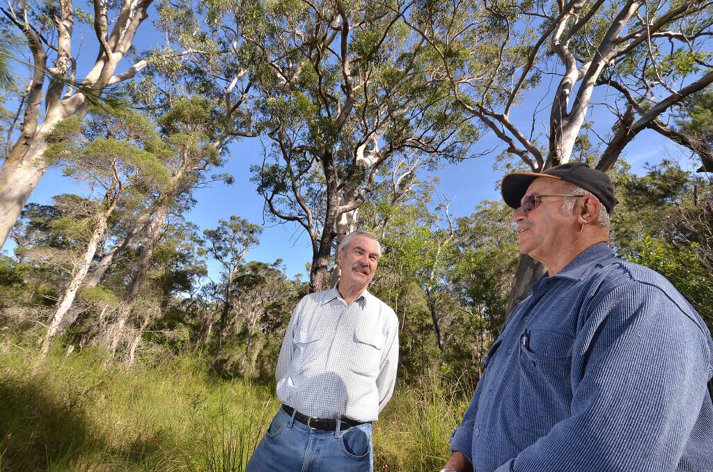 Port Macquarie Koala Society president Bob Sharpham andtreasurer Herbie King inspect the 230 acre property at Maria River purchased for the planting and harvesting of koala food trees.