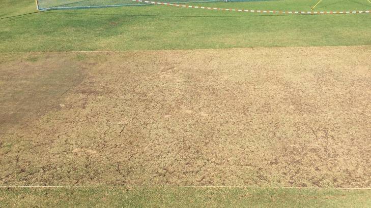 The pitch at Maharashtra Cricket Association Stadium, where Australia will play India in the first Test. Photo: Andrew Wu