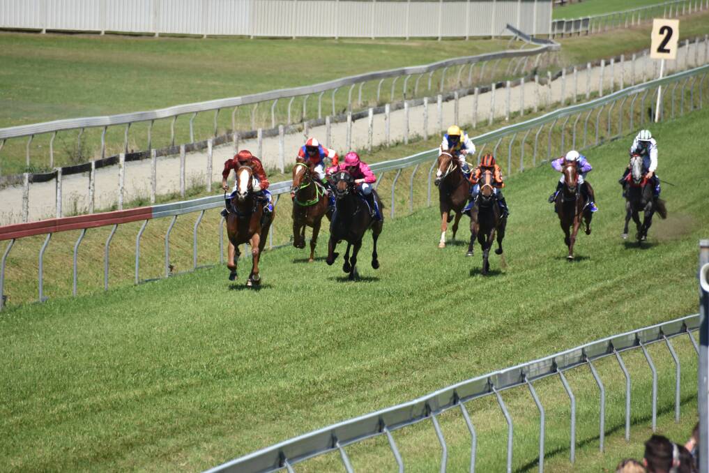 Too quick: Peter Graham on his way to winning at Wauchope on Saturday, aboard the Hankinator. Pic: NIGEL McNEIL