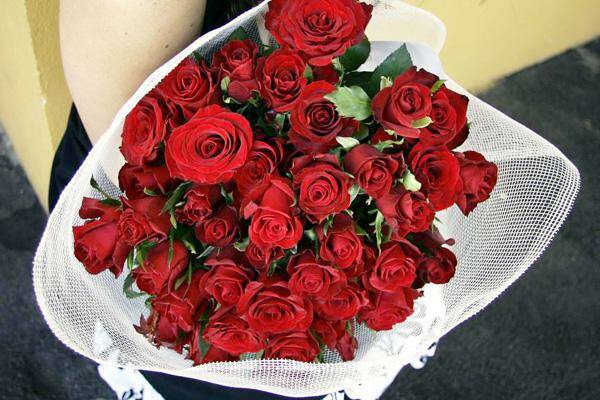 Red roses signify love: The perfect gift for Valentine's Day.