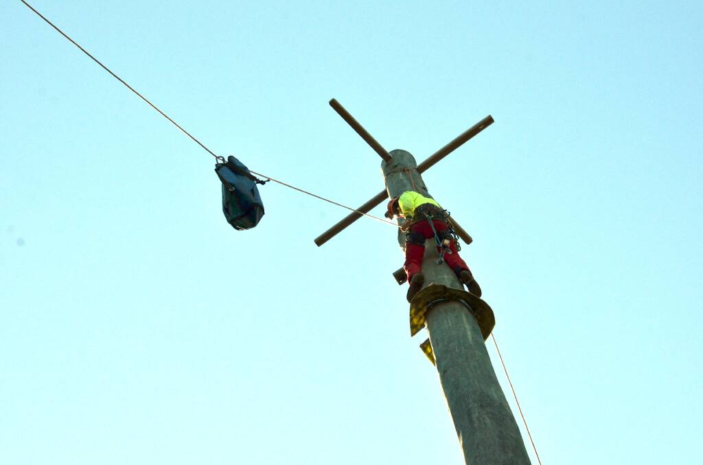 Expert in action: Joel Green from Woodvale Tree Services removes one of the cameras suspended over the Oxley Highway.