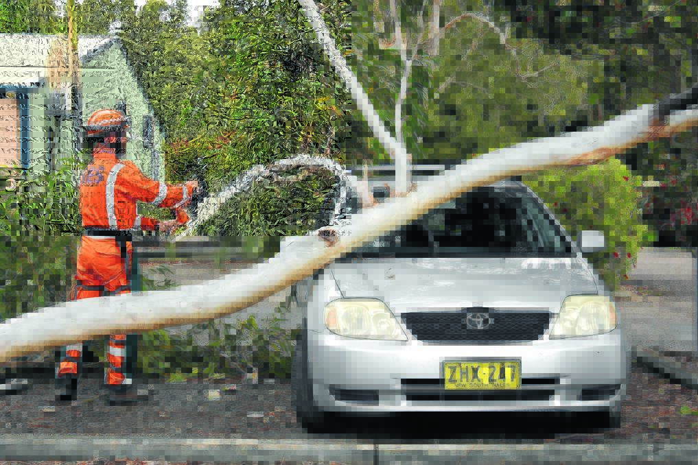 Storm season poses threat: Port Macquarie SES Will Steggal removes a tree from a car parked in Mumford Street last week.