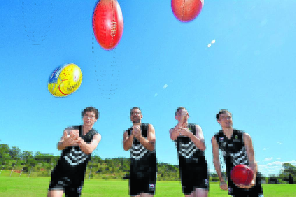Ready to heat up for 2015: Blake Nelson, Craig Dicker, Josh King and James Nelson make up some of the Port Macquarie Magpies contingent.