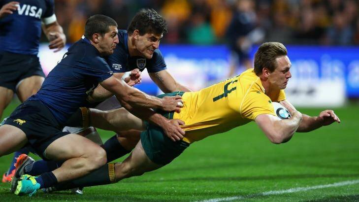 The Wallabies' Dane Haylett-Petty scores a try during the Rugby Championship match against Argentina in Perth last September. Photo: Cameron Spencer