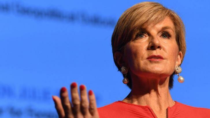 Foreign Minister Julie Bishop is developing a new Foreign Policy White Paper. Photo: Louise Kennerley