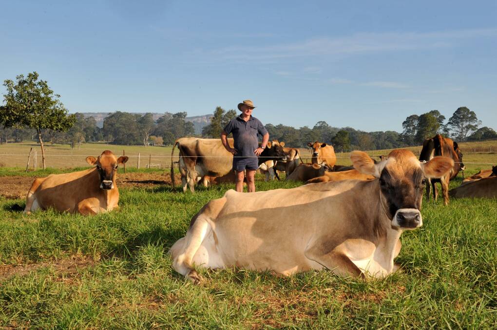 Support our dairy farmers: Huntingdon farmer Ian Lindsay is one of the many Australian farmers who would benefit from a boost in local milk product sales.                        Photo: MATT ATTARD